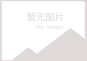 上海字迹金属有限公司